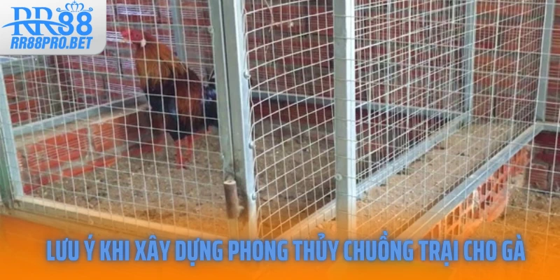 Lưu ý khi xây dựng phong thủy chuồng trại cho gà