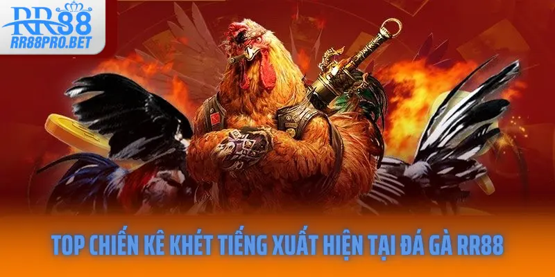 Top chiến kê khét tiếng xuất hiện tại đá gà RR88
